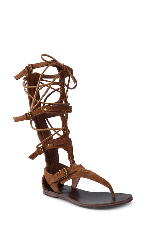 Zigi Lester Gladiator Sandal In Brown