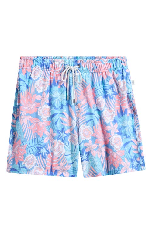Shop Vintage Summer Seersucker Volley Swim Trunks