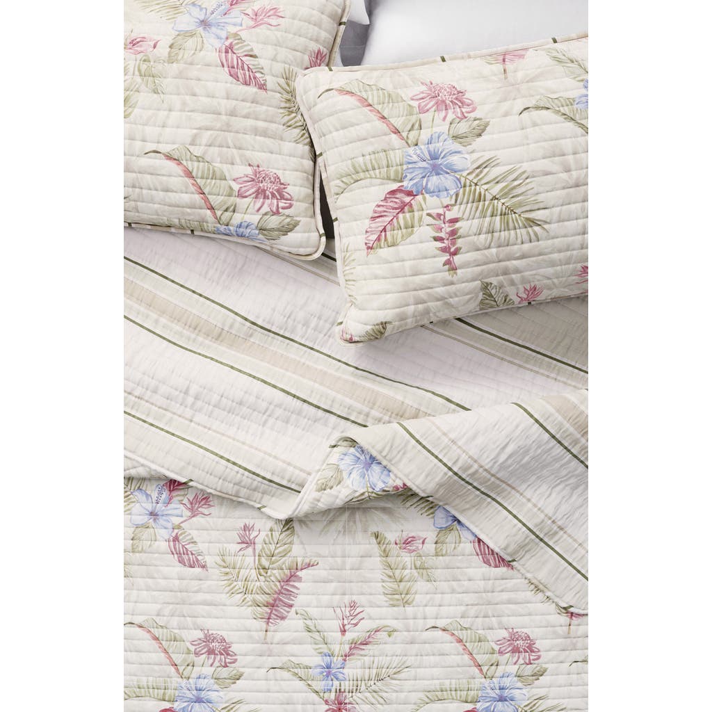 Woven & Weft Tropical Floral Cotton Quilt & Sham Set In Tropical Floral