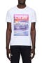Clean Cotton Graphic T-Shirt