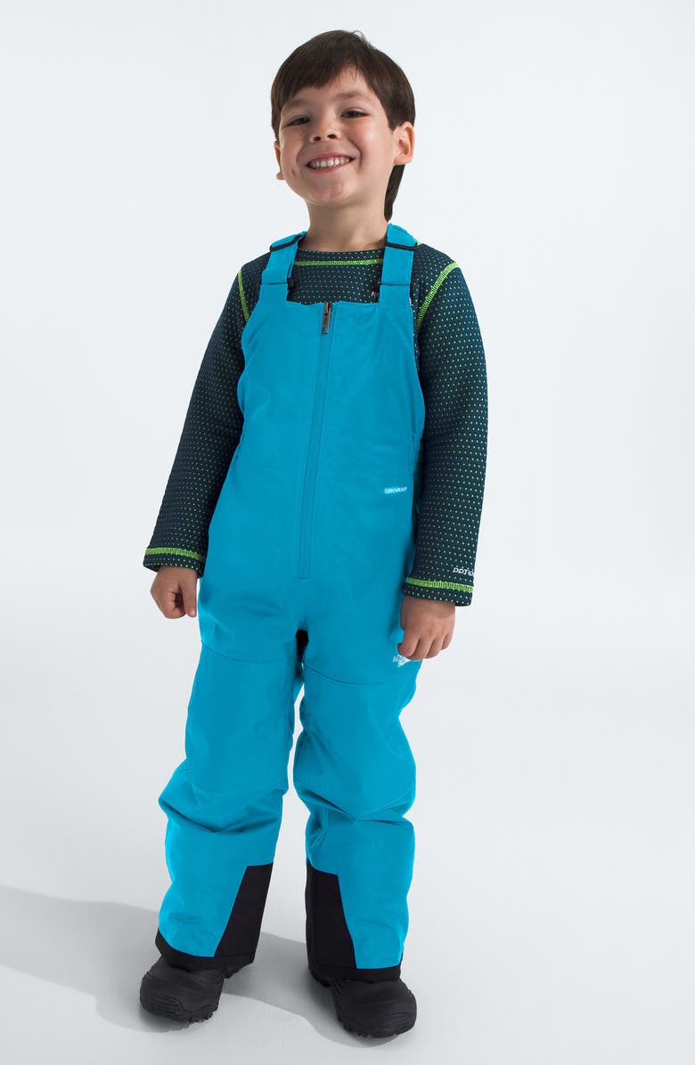 The North Face Kids' Freedom Insulated Snow Bib Overalls, Alternate, color, Meridian Blue
