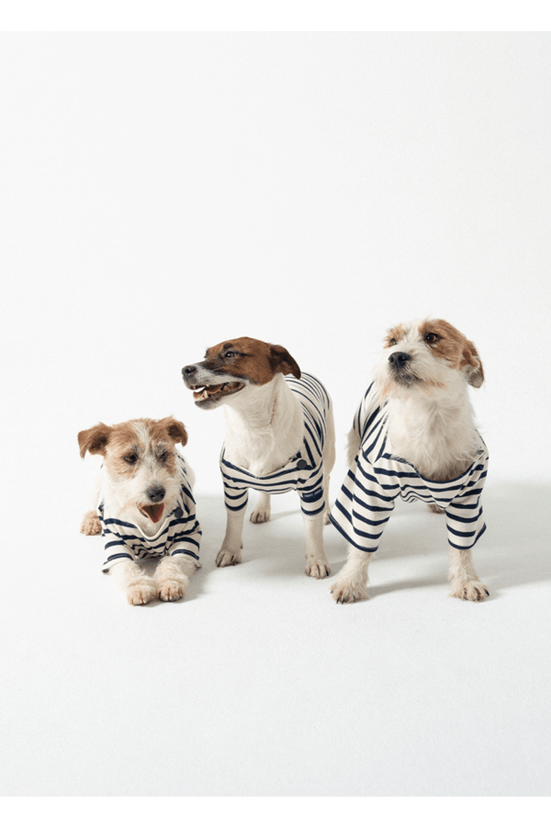 PARISIAN PUP - Authentic Breton Shirt for Dog, Alternate, color, ecru/navy
