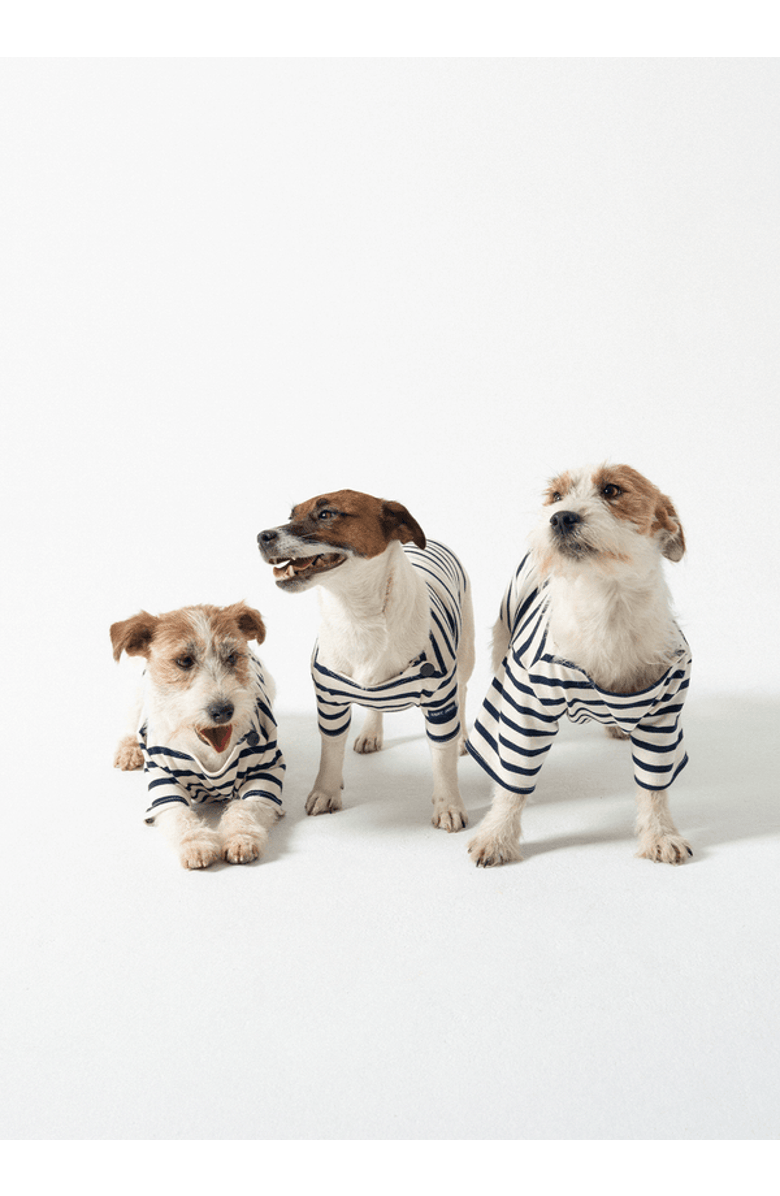 Saint James PARISIAN PUP - Authentic Breton Shirt for Dog, Alternate, color, Ecru/Navy