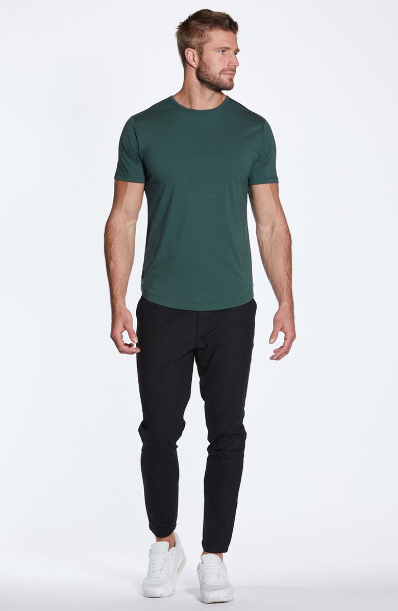 Cuts AO Curve Hem Cotton Blend T-Shirt, Alternate, color, Bonsai