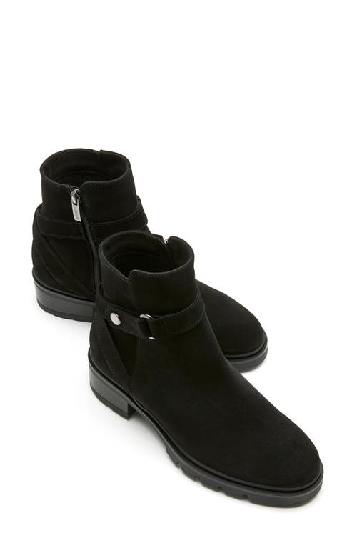 La Canadienne Steven Suede Ankle Booties In Black