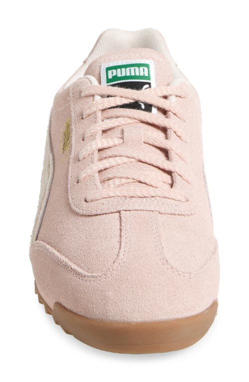 Puma Arizona Sd Sneaker In Rose Quartz-rosebay