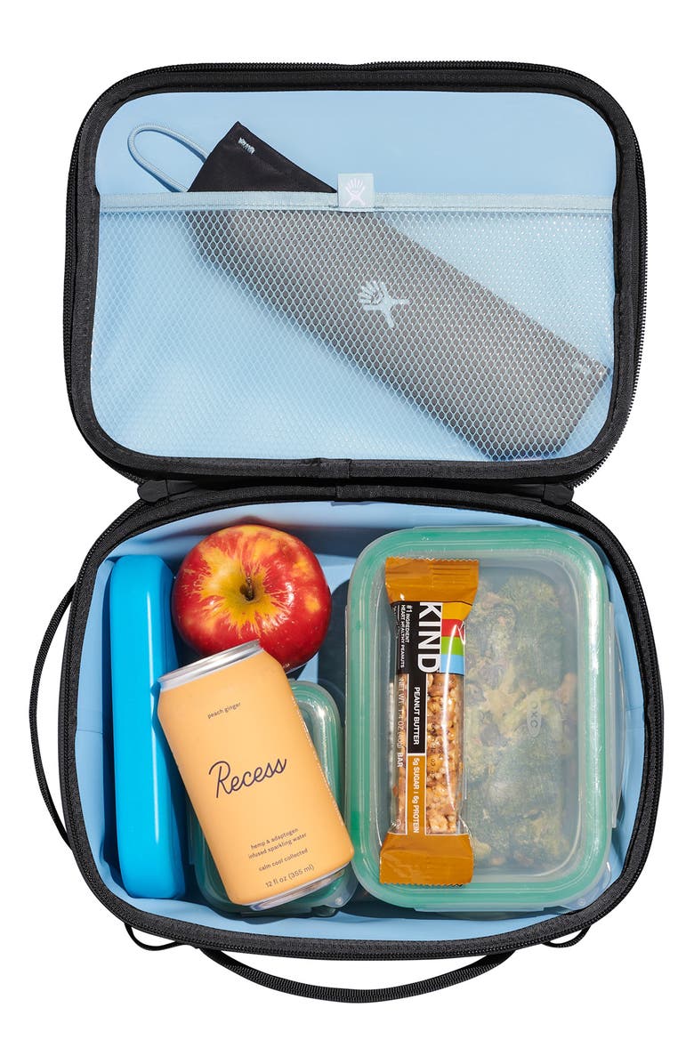 Hydro Flask 5-Liter Carry Out<sup>™</sup> Lunch Box, Alternate, color, Black