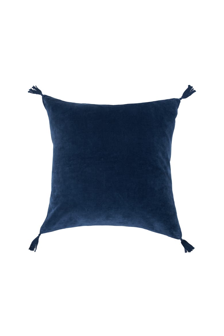 Blue River Indigo 100% Cotton Premium Accent Throw Pillow w/ Tassels 22" x 22", Main, color, Blue