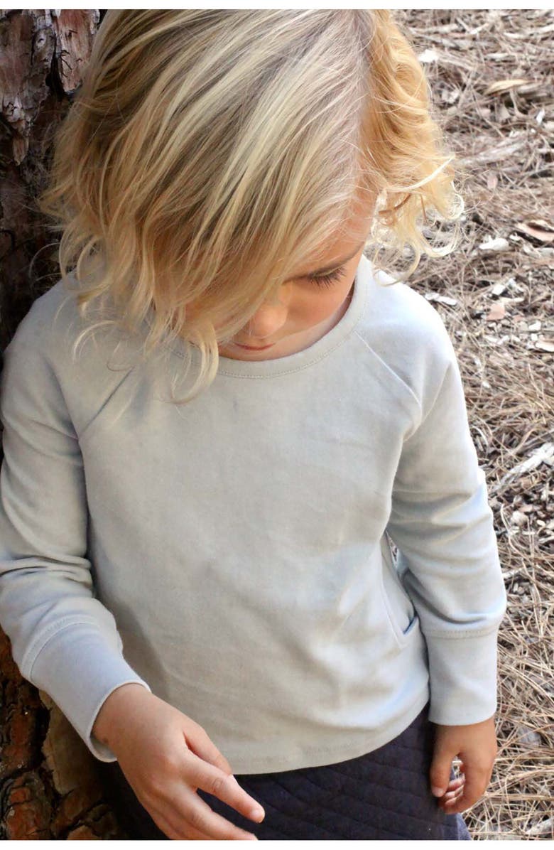 Pehr Essentials Organic Cotton Top, Alternate, color, Soft Sea