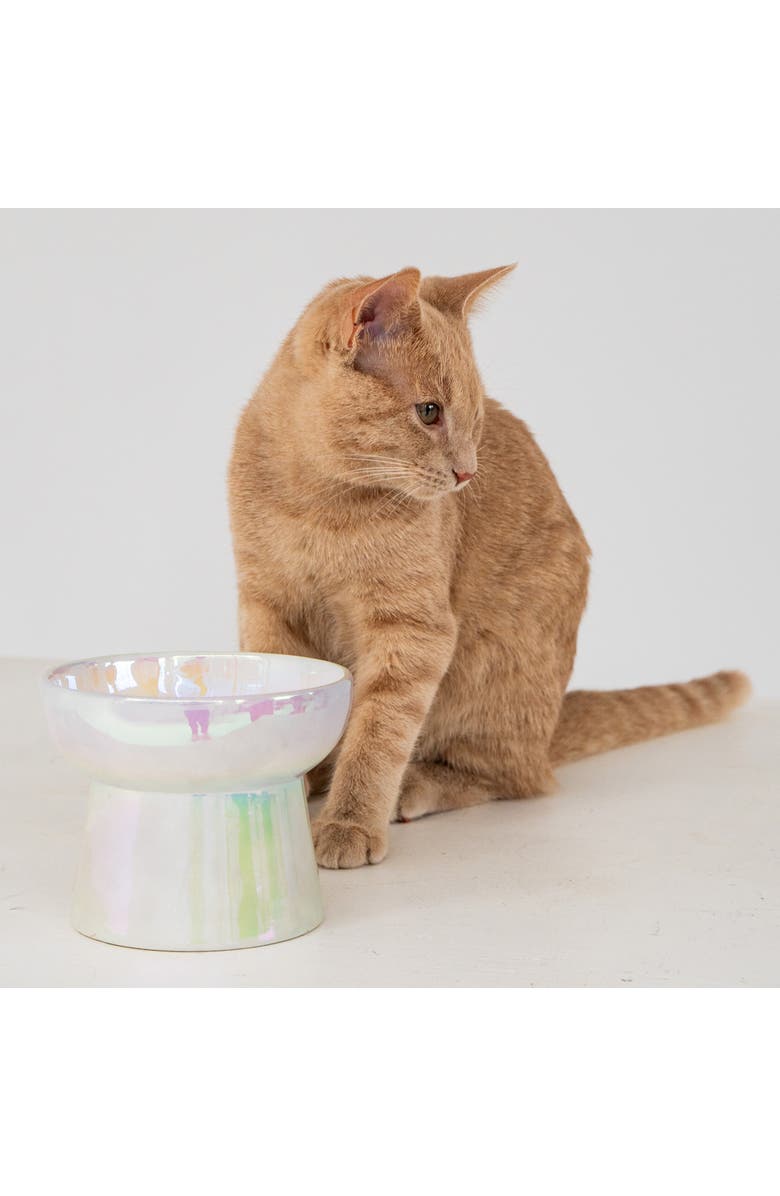 Dexypaws Elevated Ceramic Bowl For Cats Iridescent 7Oz Capacity, Alternate, color, Off-White