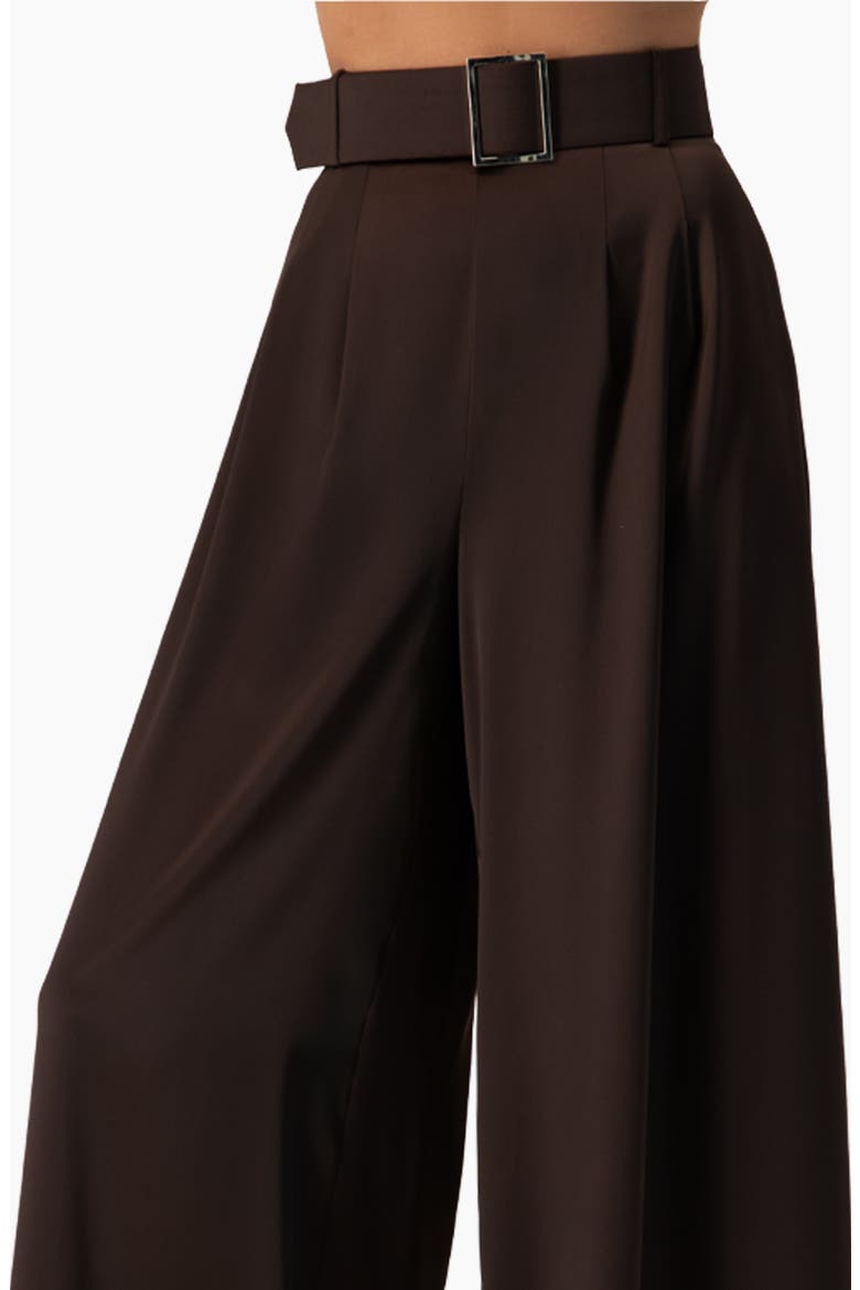 Wide-Leg Satin Trousers, Alternate, color, Brown