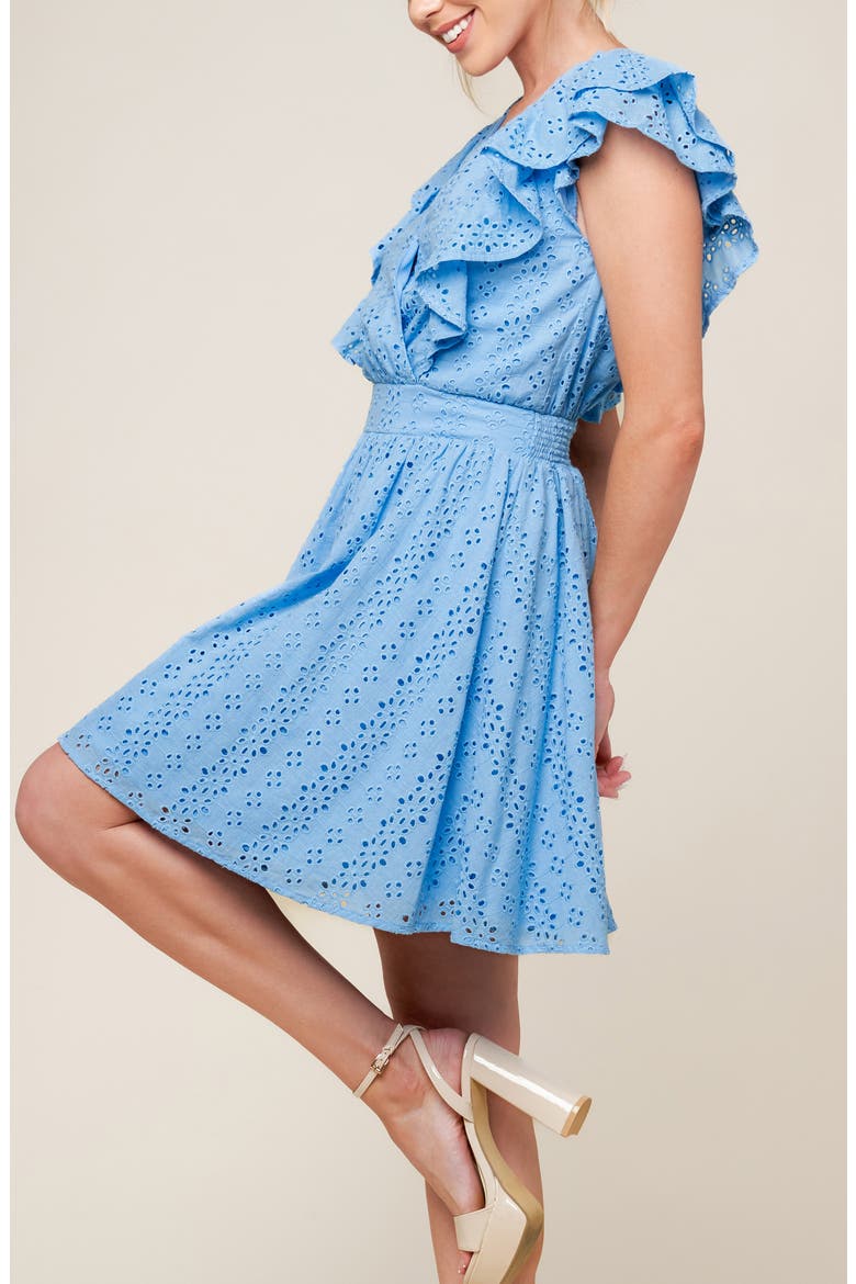 Ruffle Embroidered Eyelet Cotton Fit & Flare Dress, Alternate, color, POWDER BLUE