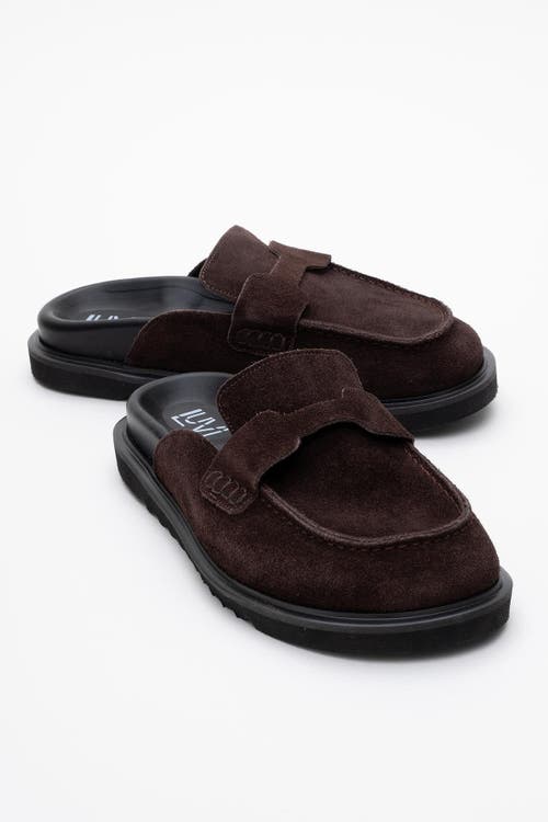 Forever & Always Shoes Laven Suede Leather Clogs In Brown