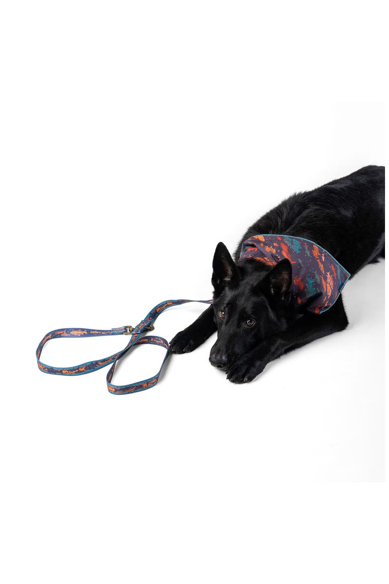 Adventure Dog Leash, Alternate, color, SALMON FALLS
