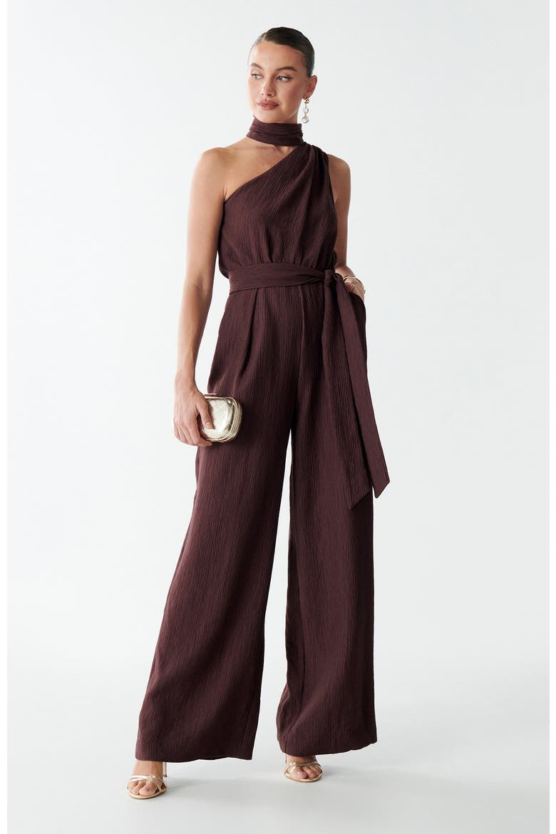 Vera Jumpsuit, Alternate, color, Chocolate