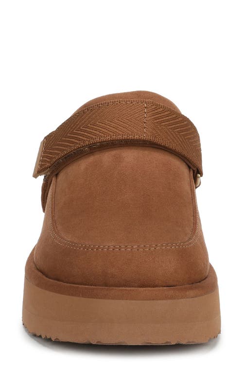 Dr. Scholl's Chill Time Clog In Brown