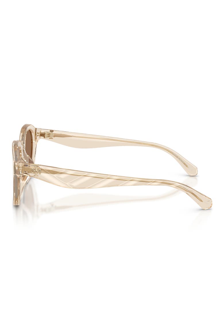 48mm Phantos Sunglasses, Alternate, color, TRANSPARENT BEIGE / BROWN