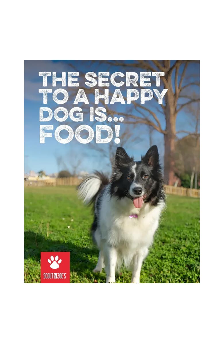 Scout & Zoe's Super Fly Black Soldier Fly, Larvae Oil, 1oz Jar, All Pets, Alternate, color, Multicolored