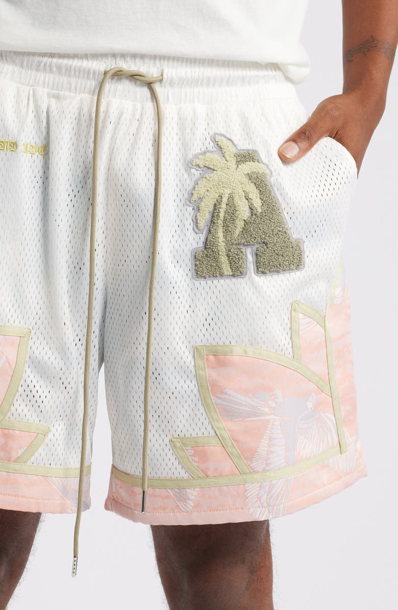 Island Avenue Kakapo Mesh Basketball Shorts, Alternate, color,