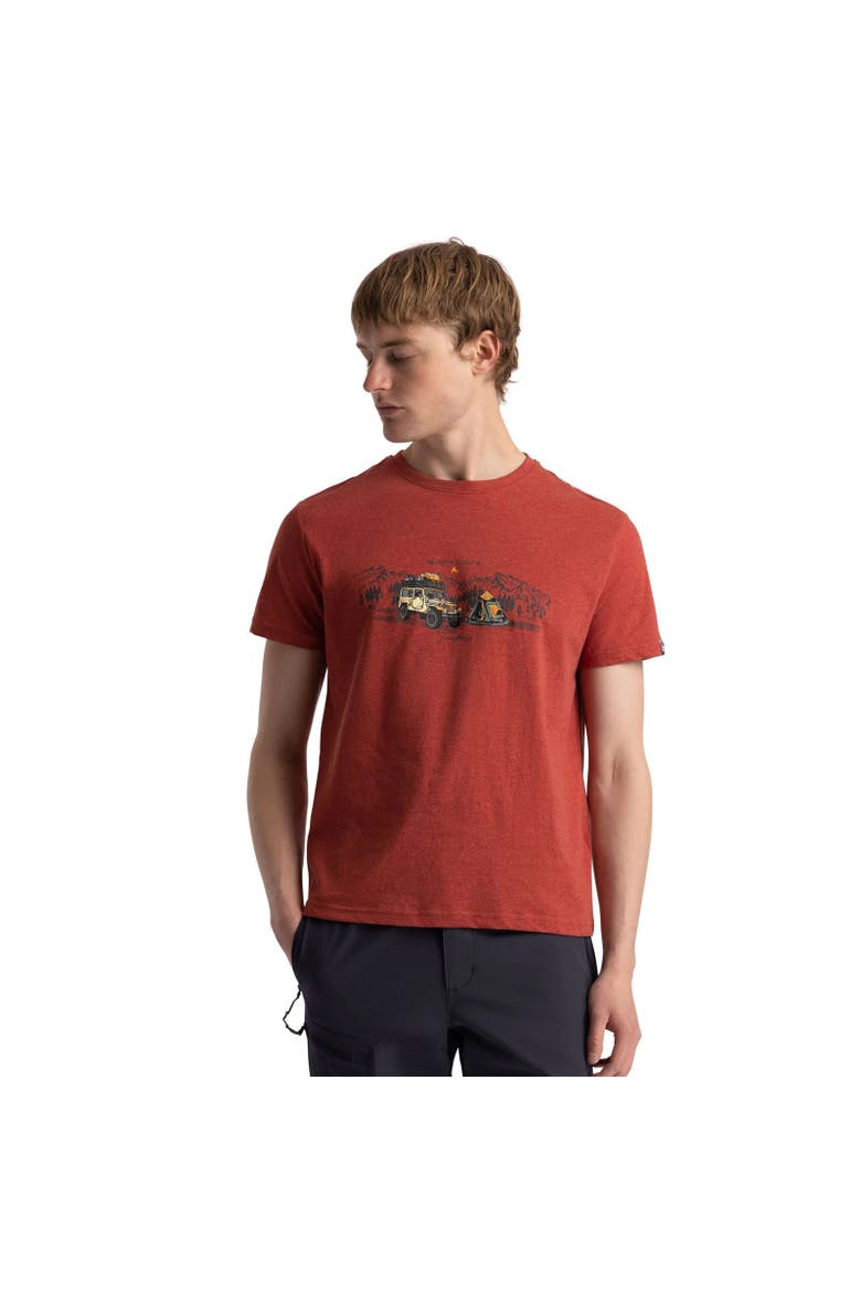 Horton T-Shirt, Alternate, color, Burnt Sienna