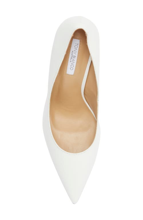 Tony Bianco Anja Pointed Toe Pump In White