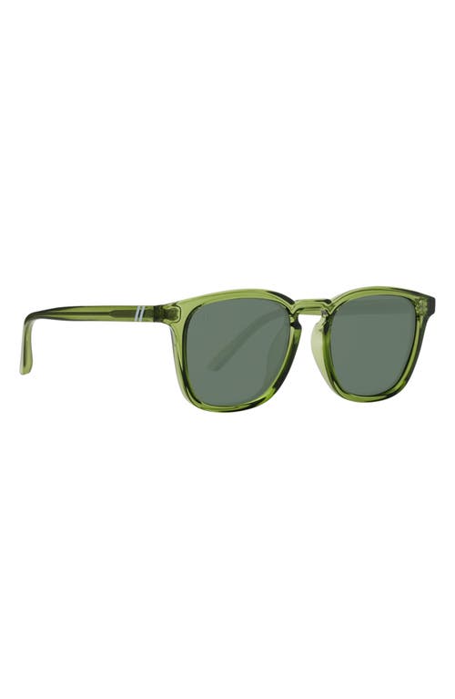 Blenders Eyewear Sydney 49mm Polarized Rectangular Sunglasses In Green