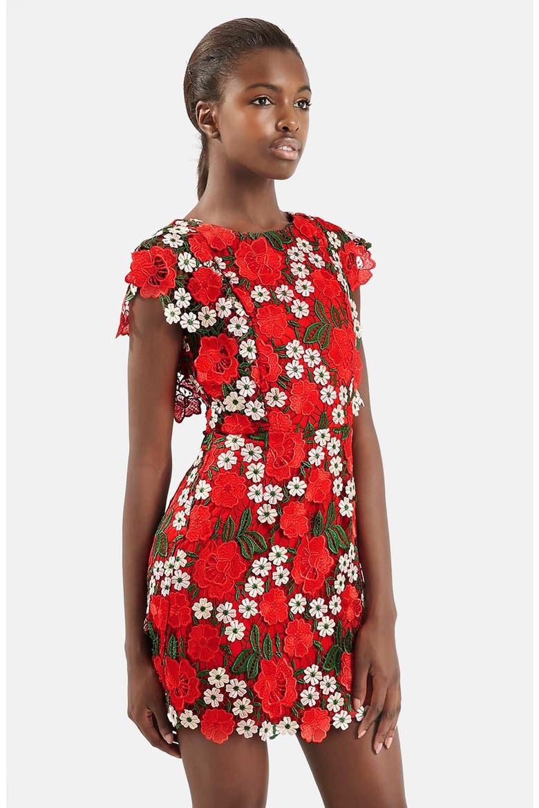 Floral Lace A-Line Dress, Alternate, color, RED MULTI