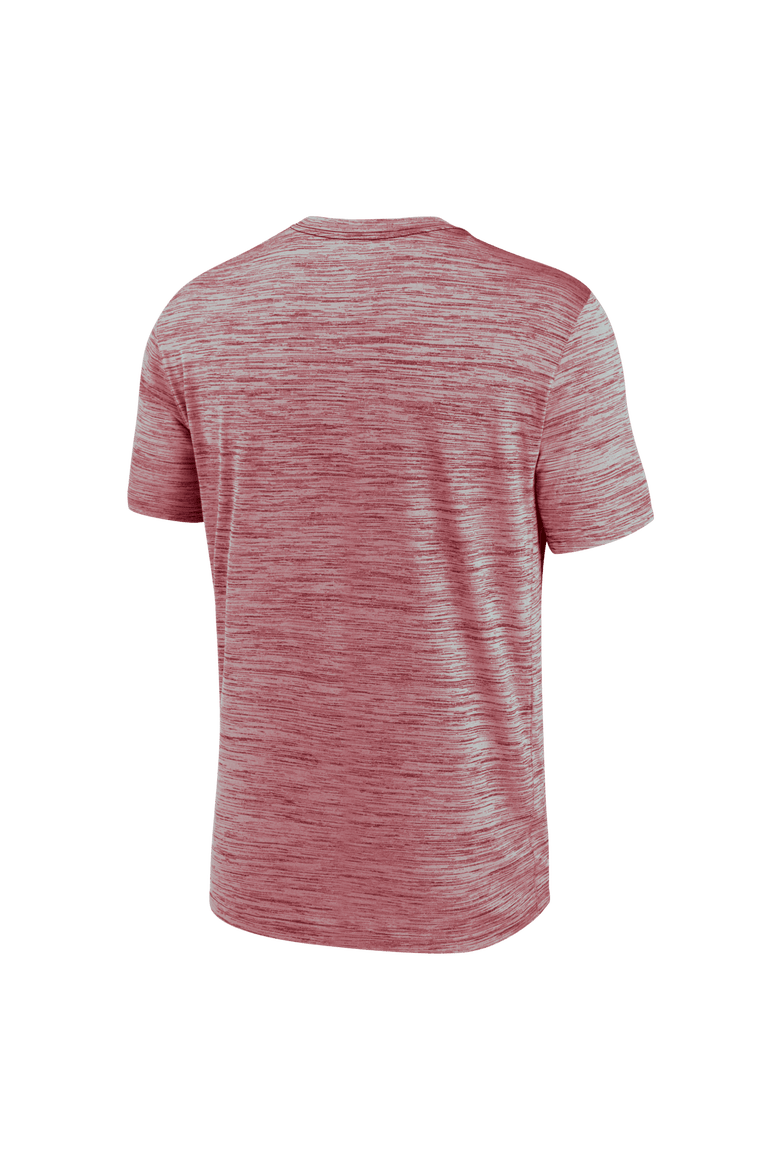 Men's Nike Cardinal USC Trojans 2025 Sideline Velocity Performance T-Shirt, Alternate, color, Cardinal