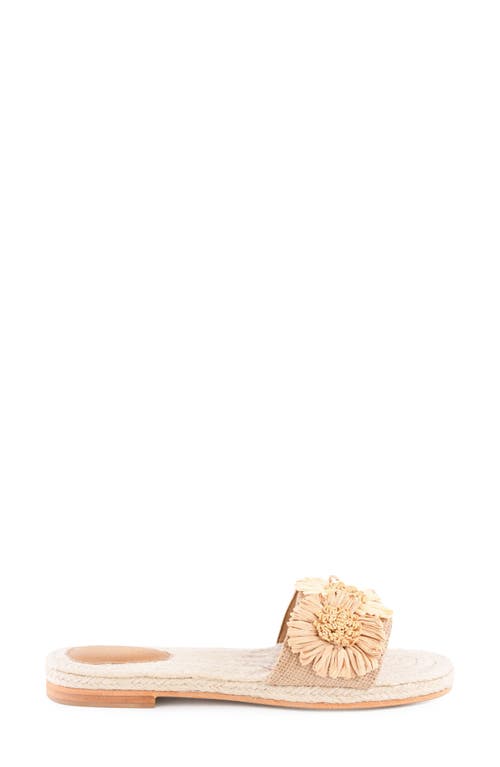 Seychelles Botanical Gardens Slide Sandal In White