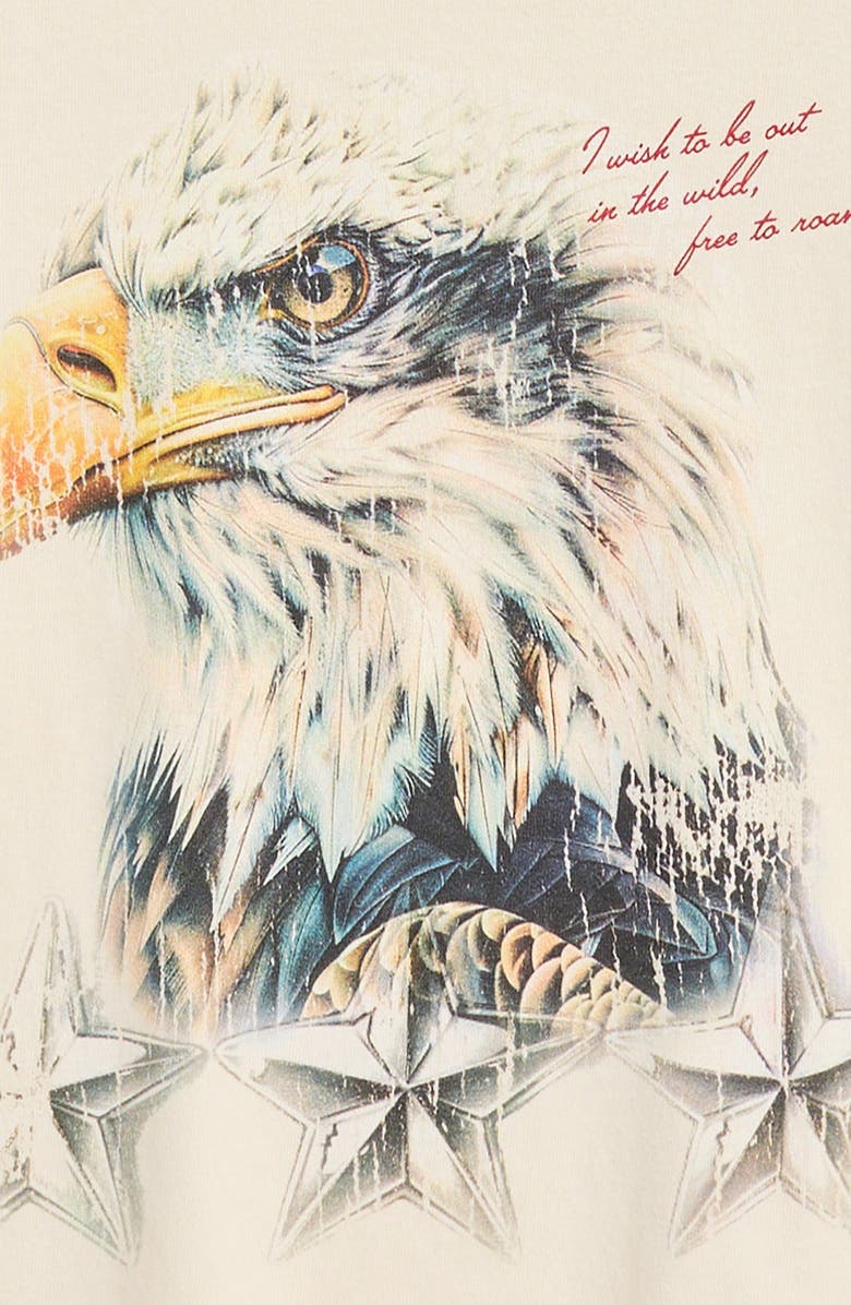 PacSun Kids' Eagle Graphic T-Shirt, Alternate, color, Tan
