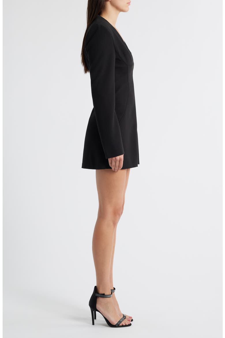 Kenna Long Sleeve Minidress, Alternate, color, BLACK