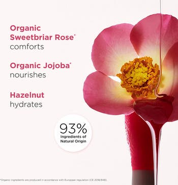 Lip Comfort Oil Lip Love Minis Set
