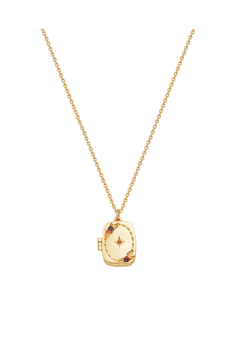Orla Hedgerow Locket Necklace, Alternate, color, Gold