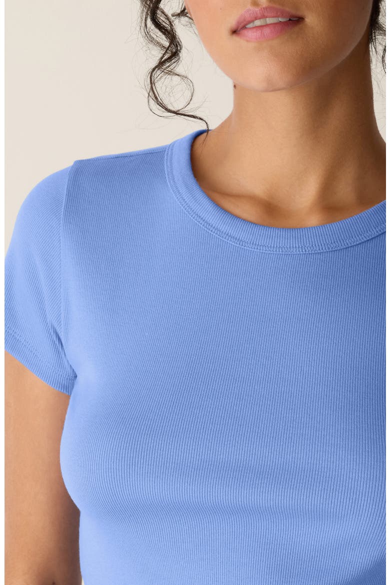 Crewneck T-Shirt, Alternate, color, CORNFLOWER