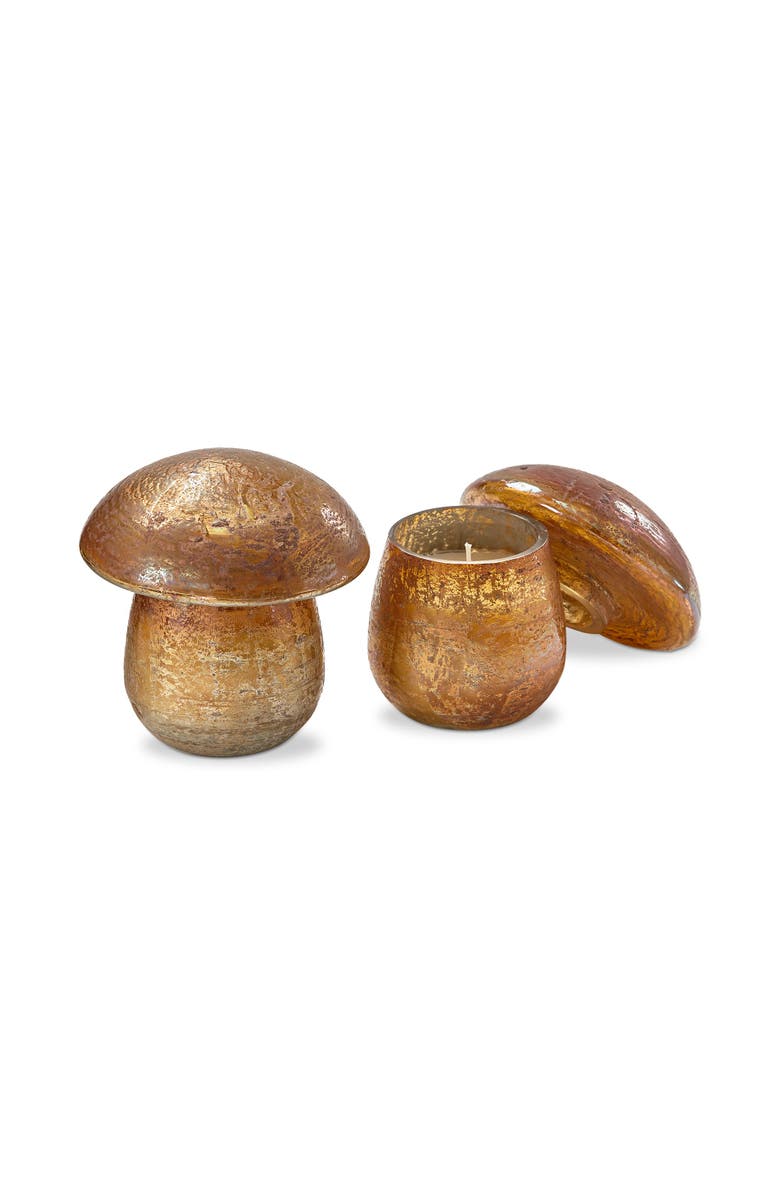 tag Scented Soy Wax Candle in Mushroom Glass Container with Lid, Main, color, Multicolored