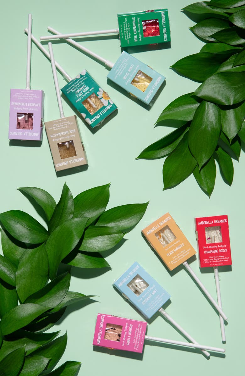 Amborella Organics Sucker for Plants 18-Piece Seed Based Lollipop Set, Alternate, color,