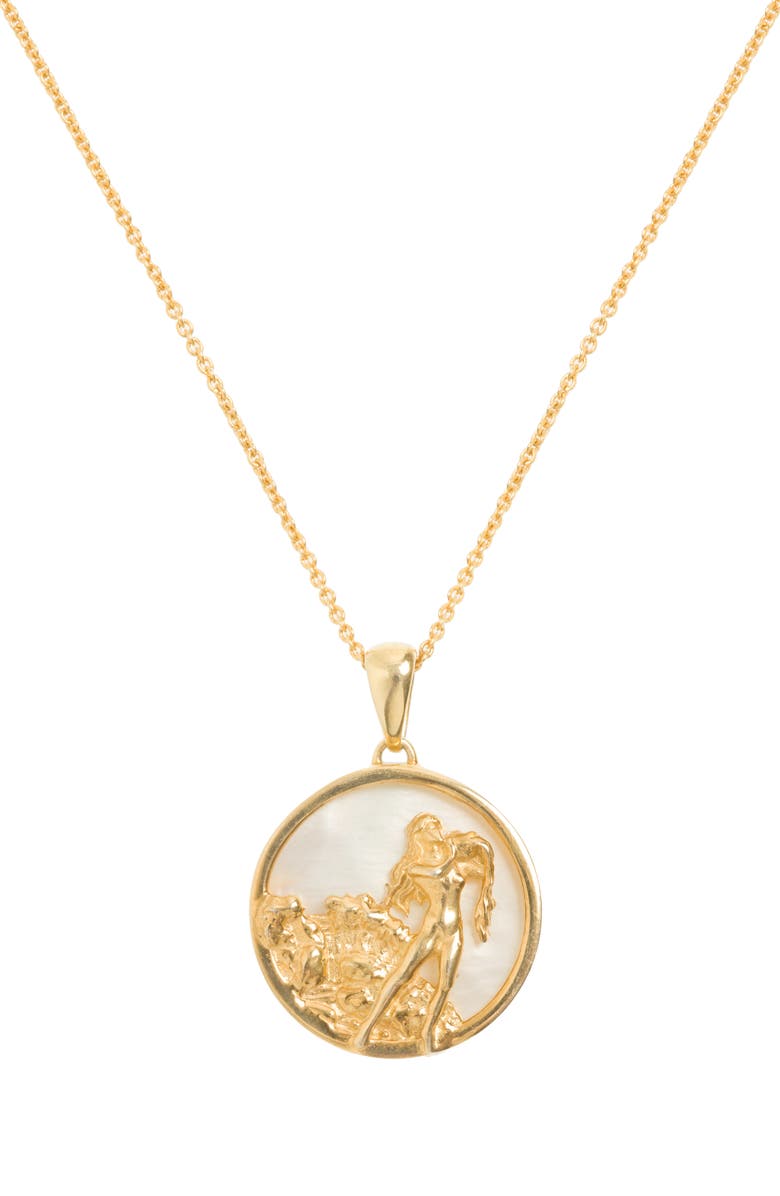 Freya Rose Zodiac Necklace, Main, color, Aquarius