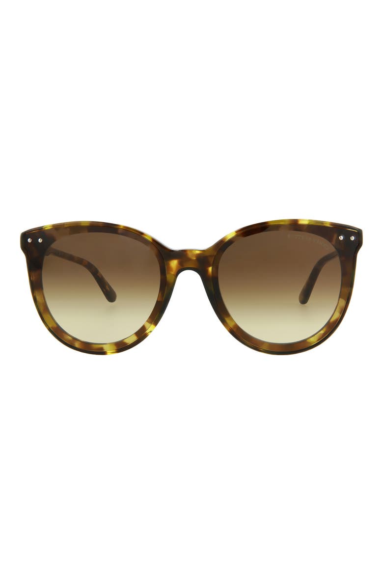 61mm Round Sunglasses, Main, color, HAVANA HAVANA BROWN