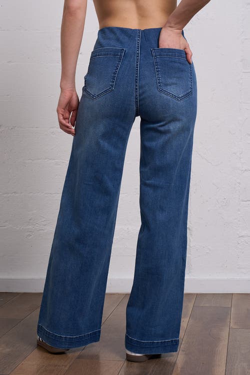 Franne Golde Original Stretch Magic Pant In Blue