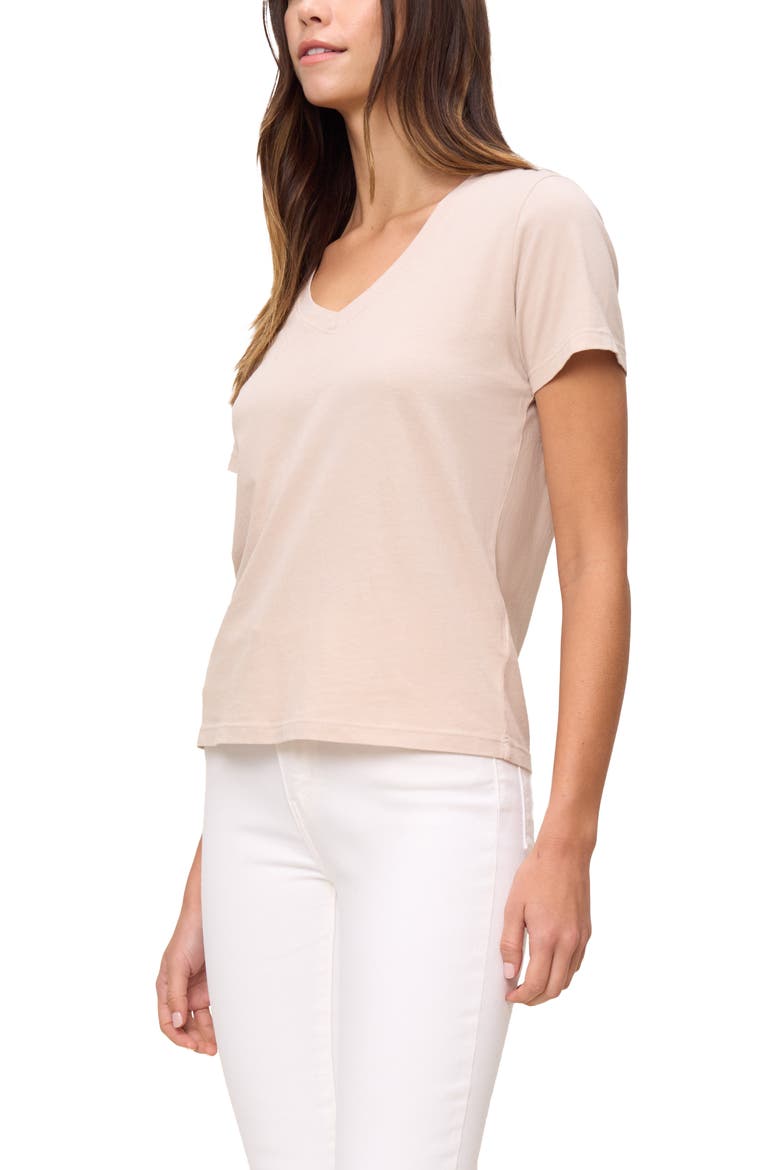 The Organic Cotton V-Neck Tee, Alternate, color, Oat