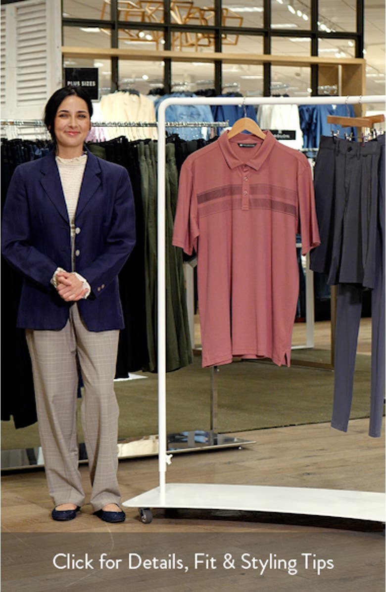 Family Trip Polo, sales video thumbnail