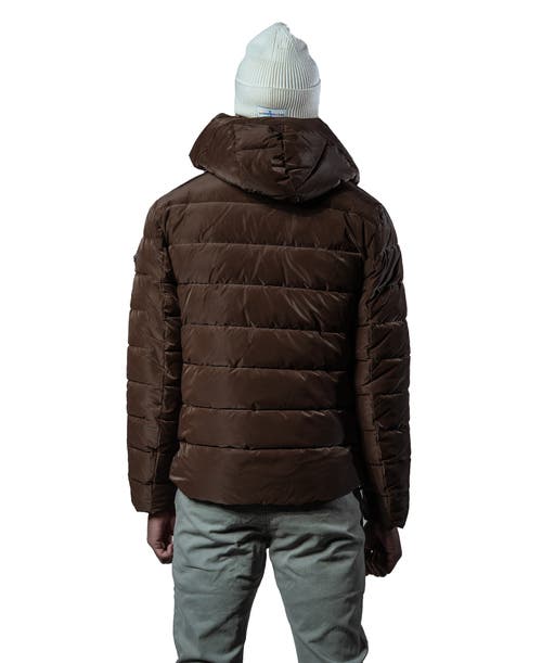 Woodpecker Sparrow Medium Weight Coat In Green