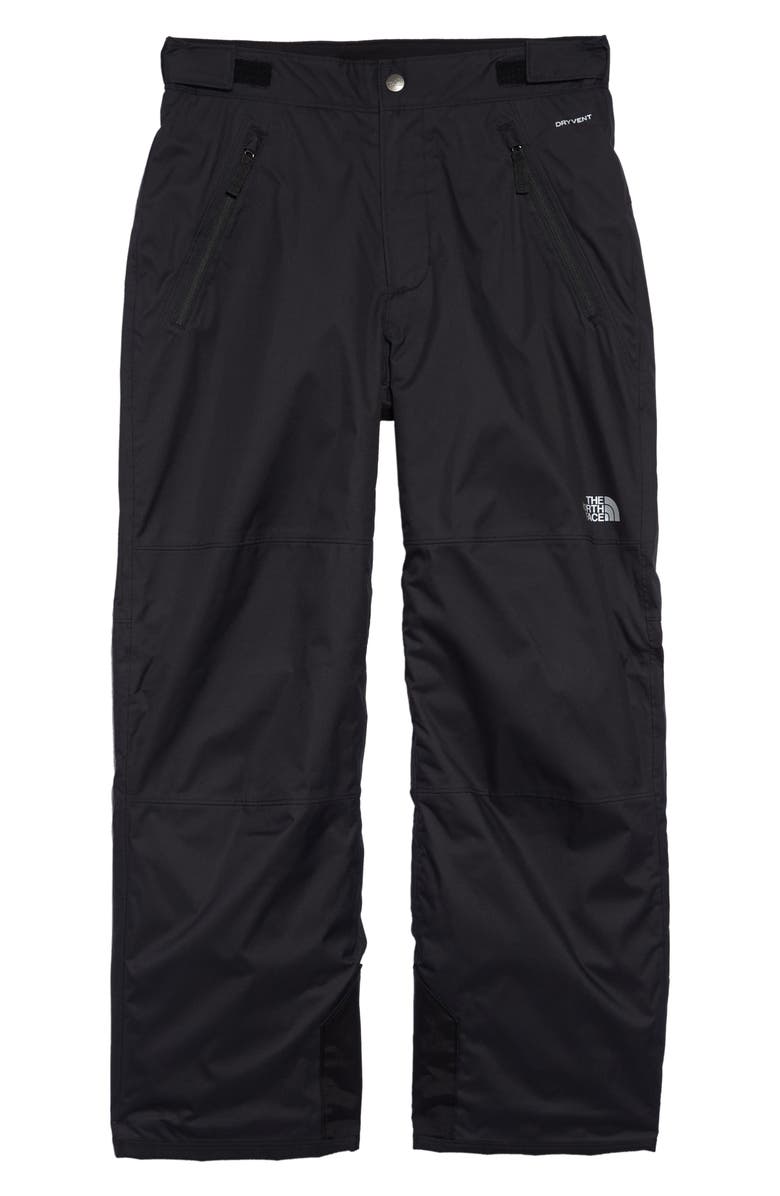 The North Face Freedom Waterproof Insulated Pants, Main, color, 