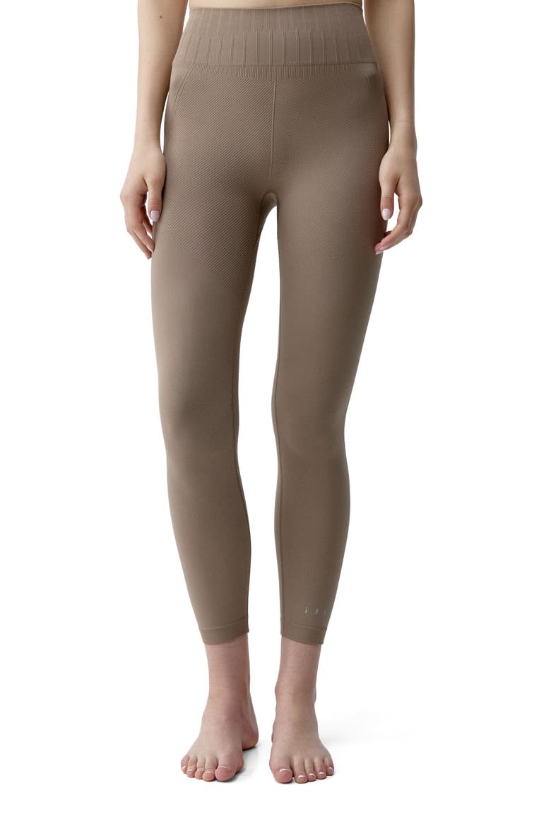 Annapurna Seamless 7/8 Sports Legging, Main, color, Taupe