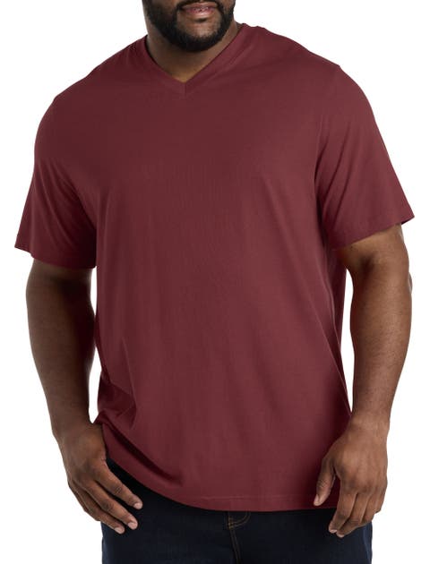 Big & Tall Moisture-Wicking Jersey V-Neck T-Shirt