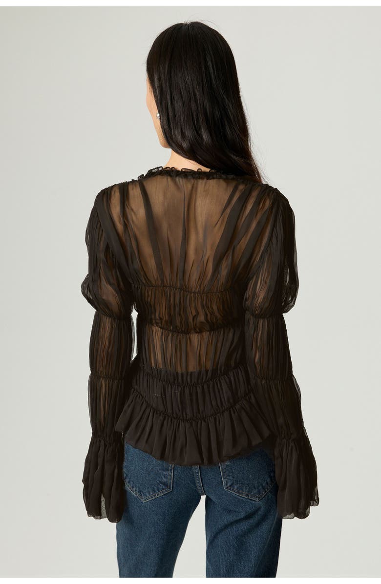 Nocturne Ruched Sheer Blouse, Alternate, color, Brown
