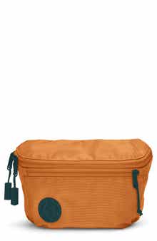 Baboon to the Moon Solstice Water Resistant Nylon Mini Belt Bag