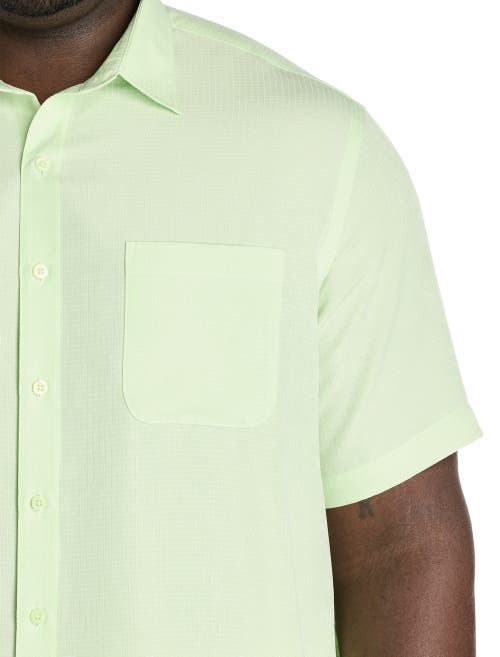 Harbor Bay By Dxl Microfiber Comfort Grid Sport Shirt In Pastel Green