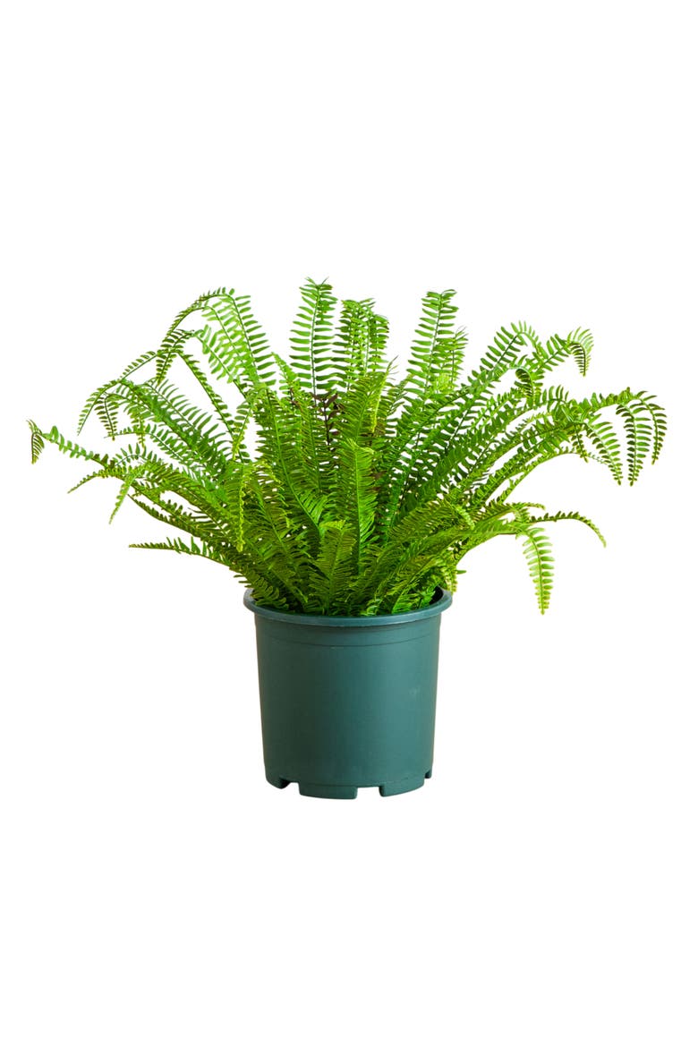 27-in UV Resistant Artificial Real Touch Boston Fern Plant, Main, color, Green