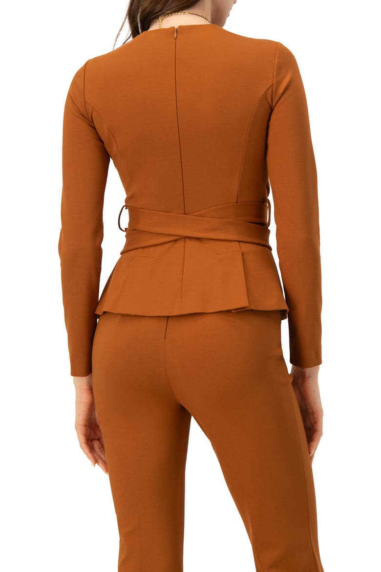 Long Sleeve Top with Crossed Tie Straps, Alternate, color, Brown